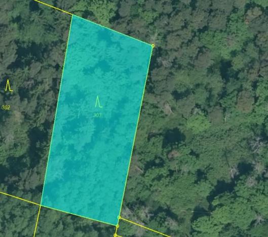 Prodej podílu lesa, Dříteň, 3282 m2