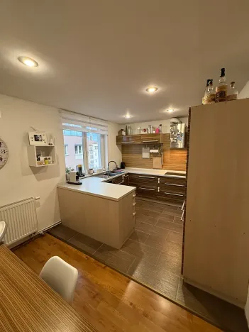 Prodej bytu 5+kk, Brno, Skořepka, 146 m2