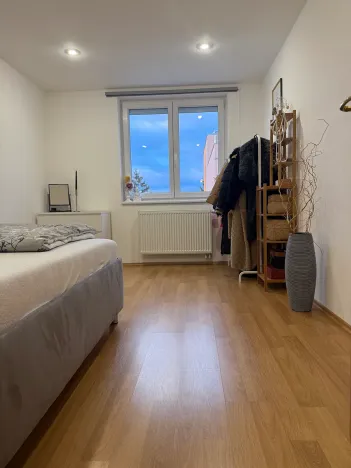 Prodej bytu 5+kk, Brno, Skořepka, 146 m2