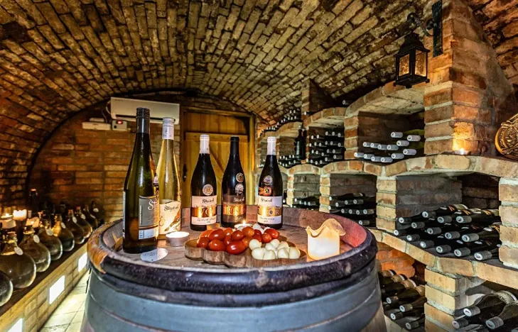 Prodej vinného sklepa, Mutěnice, 210 m2