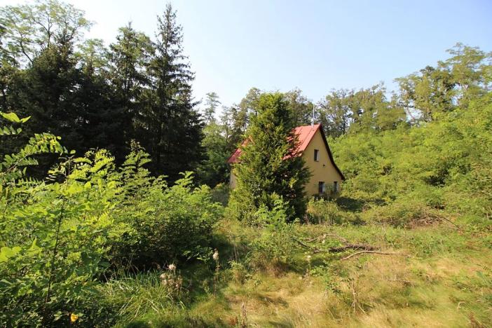 Prodej chaty, Husinec, Nad Údolím, 80 m2