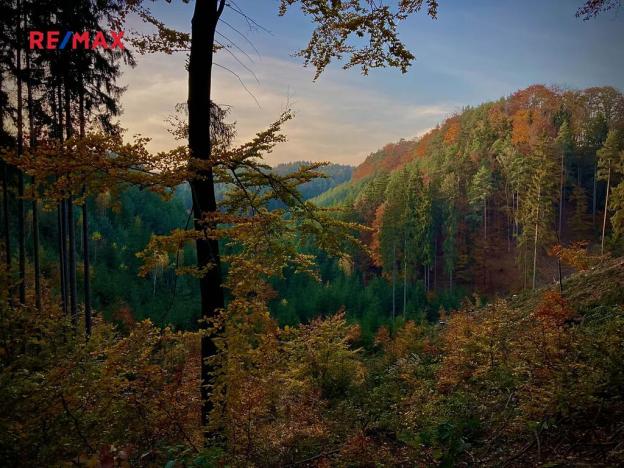 Prodej pozemku pro bydlení, Blatce, 2960 m2