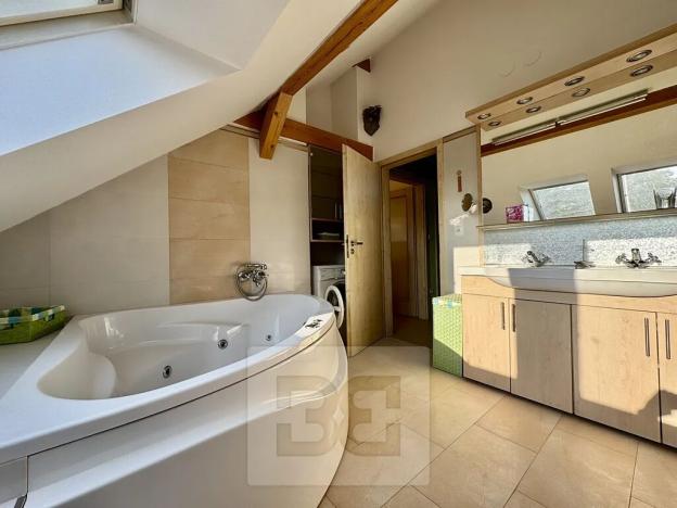 Pronájem bytu 4+kk, Velké Opatovice, Sokolská, 195 m2