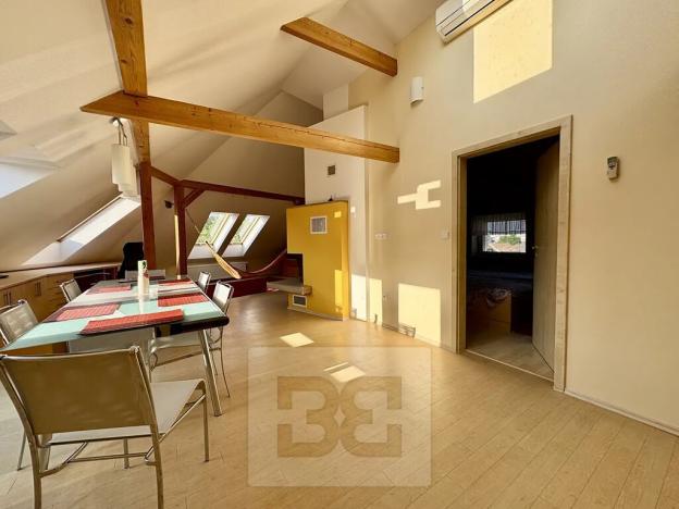 Pronájem bytu 4+kk, Velké Opatovice, Sokolská, 195 m2