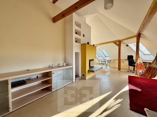 Pronájem bytu 4+kk, Velké Opatovice, Sokolská, 195 m2