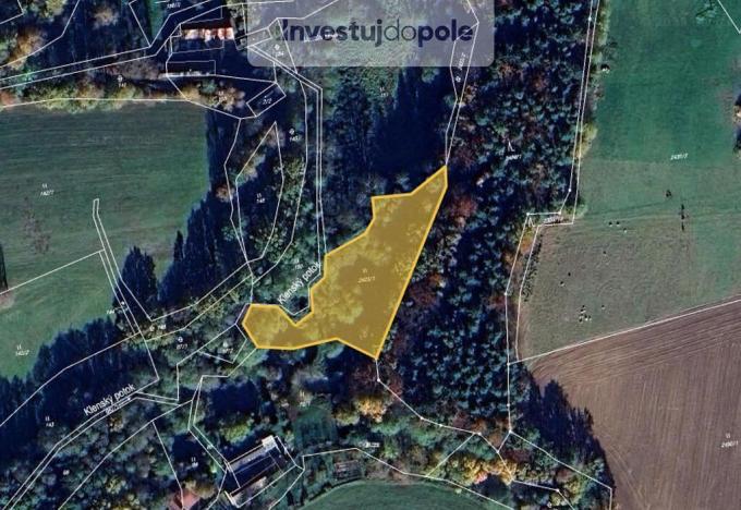 Prodej louky, Čížkrajice, 2512 m2