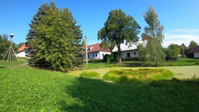 Prodej rodinného domu, Pecka, 300 m2