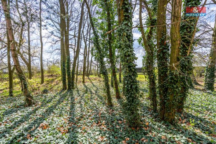 Prodej rodinného domu, Křinec, 630 m2