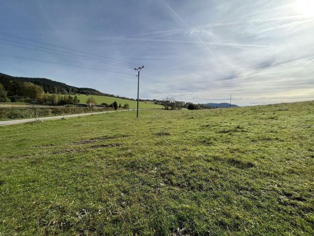 Prodej louky, Horní Planá - Pernek, 8530 m2