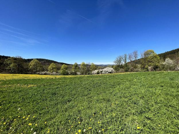 Prodej pole, Kájov - Staré Dobrkovice, 15428 m2