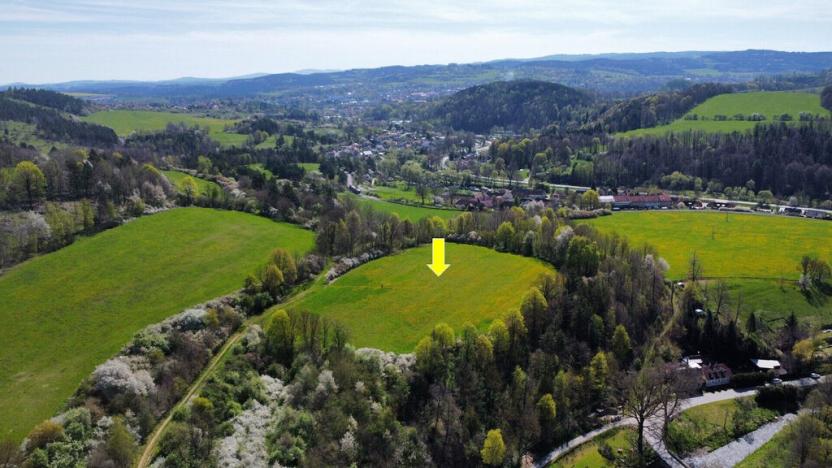 Prodej pole, Kájov - Staré Dobrkovice, 15428 m2