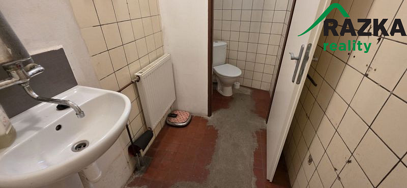 Pronájem výrobních prostor, Planá, 249 m2