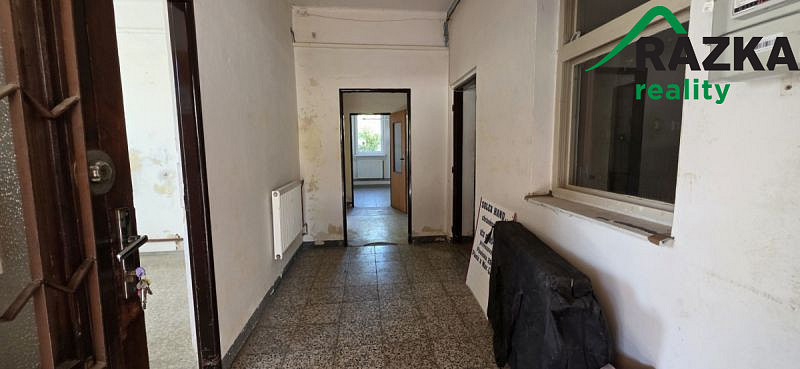 Pronájem výrobních prostor, Planá, 249 m2