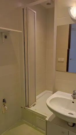 Prodej obchodního prostoru, Praha, Wenzigova, 52 m2