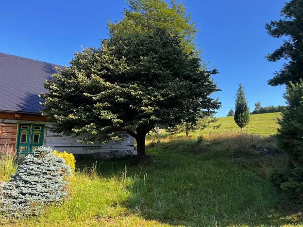 Prodej chalupy, Pustá Rybná, 176 m2