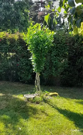 Prodej chaty, Dubovice, 36 m2