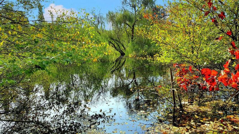 Prodej rodinného domu, Korfu, Jónské Ostrovy, Řecko, 110 m2