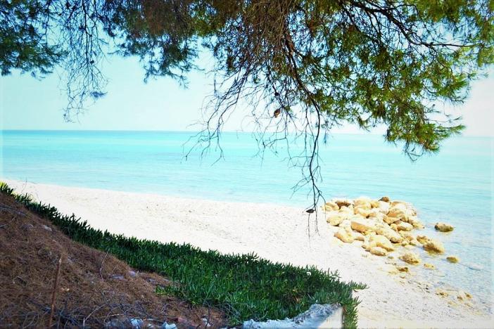 Prodej rodinného domu, Sithonia, Chalkidiki, Řecko, 250 m2