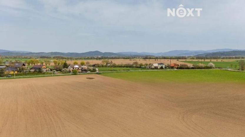 Prodej komerčního pozemku, Zábřeh, Lesnická, 16000 m2