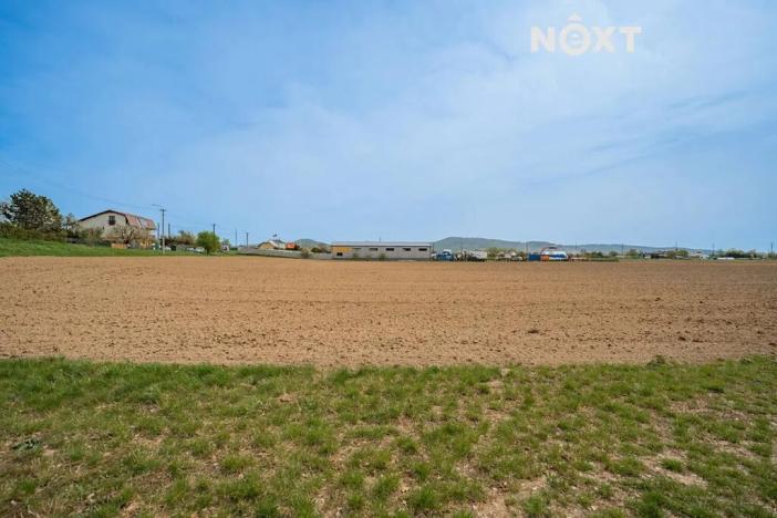 Prodej komerčního pozemku, Zábřeh, Lesnická, 16000 m2