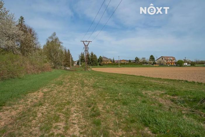 Prodej komerčního pozemku, Zábřeh, Lesnická, 16000 m2