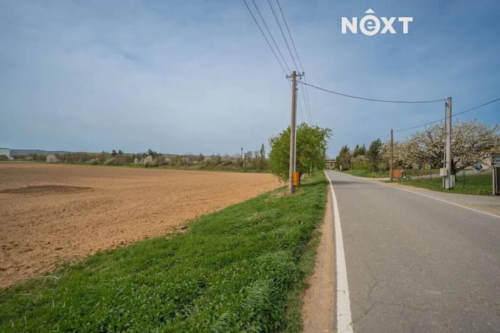 Prodej komerčního pozemku, Zábřeh, Lesnická, 16000 m2