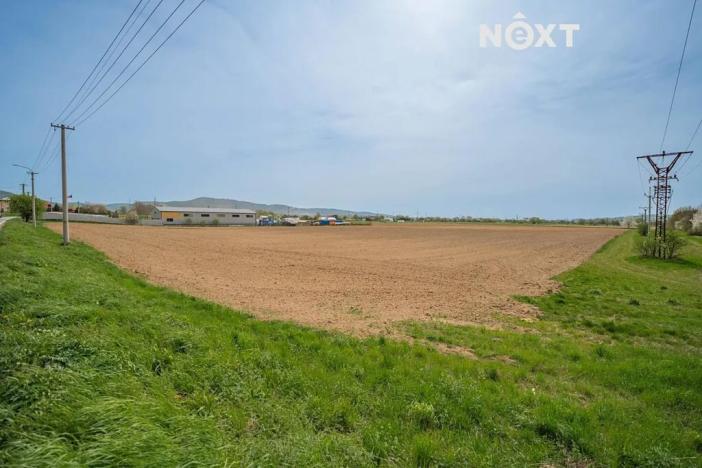 Prodej komerčního pozemku, Zábřeh, Lesnická, 16000 m2