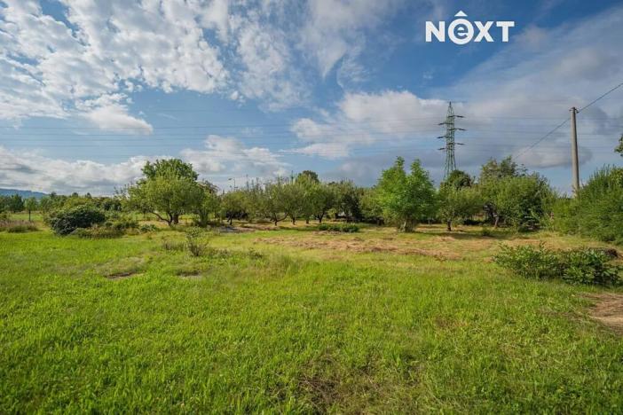 Prodej rodinného domu, Šumperk, Vikýřovická, 250 m2