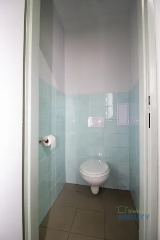 Pronájem skladu, Brandýs nad Labem-Stará Boleslav, Pražská, 92 m2