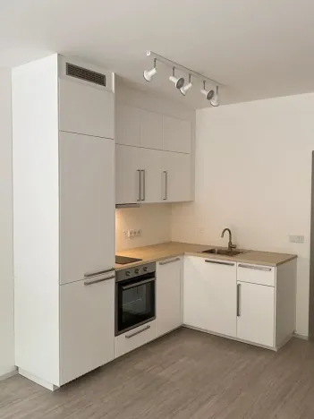 Pronájem bytu 1+kk, Libčice nad Vltavou, Pod Hliníkem, 33 m2