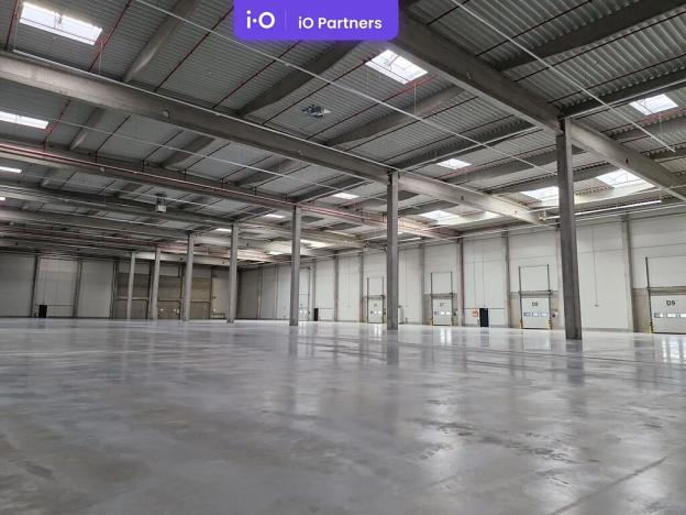 Pronájem skladu, Solnice, Průmyslová, 18000 m2