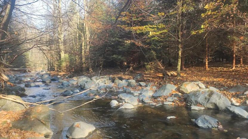 Prodej pozemku pro bydlení, Chrast, 1001 m2