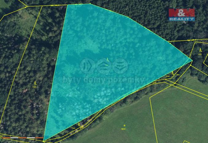 Prodej lesa, Libuň - Jivany, 15253 m2