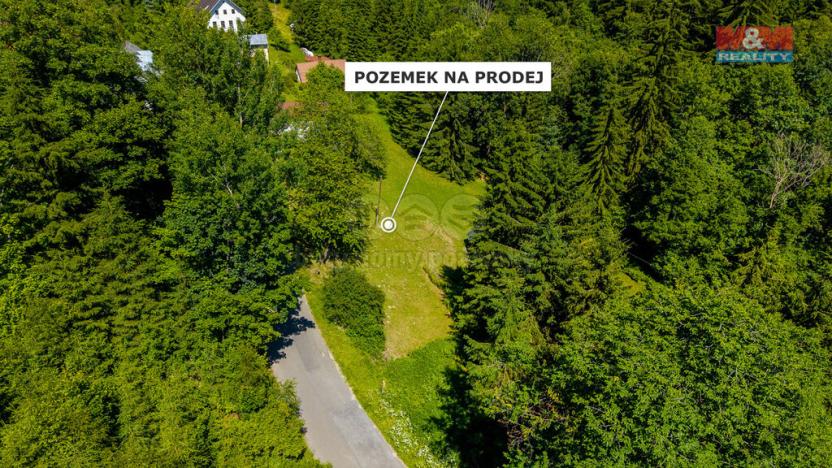 Prodej louky, Vysoké nad Jizerou - Stará Ves, 1180 m2