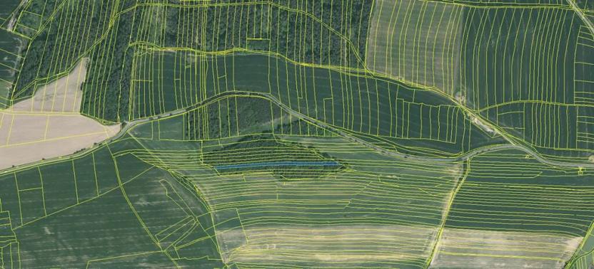 Prodej lesa, Hradiště, 3845 m2