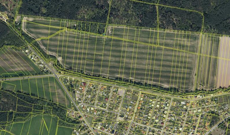 Prodej podílu lesa, Břehy, 5148 m2