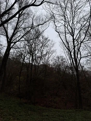 Prodej podílu lesa, Praha, 4596 m2