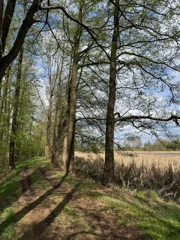 Prodej podílu pozemku, Stříbřec, 5449 m2