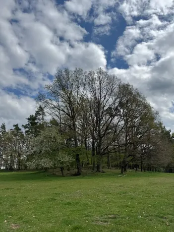 Prodej podílu pozemku, Stříbřec, 5449 m2
