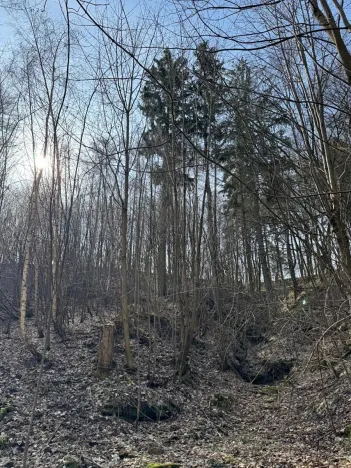 Prodej pozemku, Louňovice pod Blaníkem, 23891 m2