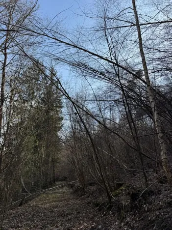 Prodej pozemku, Louňovice pod Blaníkem, 23891 m2