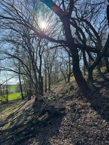 Prodej pozemku, Jevišovice, 7710 m2