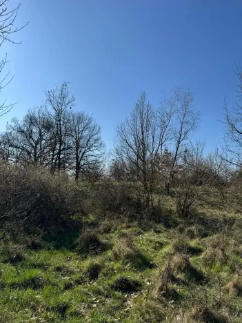 Prodej pozemku, Jevišovice, 7710 m2