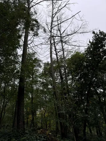 Prodej podílu pozemku, Plaňany, 23569 m2