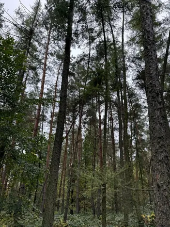 Prodej podílu pozemku, Plaňany, 23569 m2