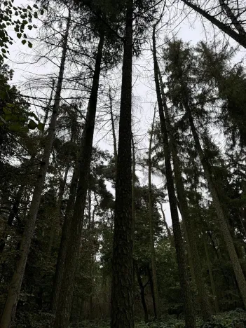 Prodej podílu pozemku, Plaňany, 23569 m2