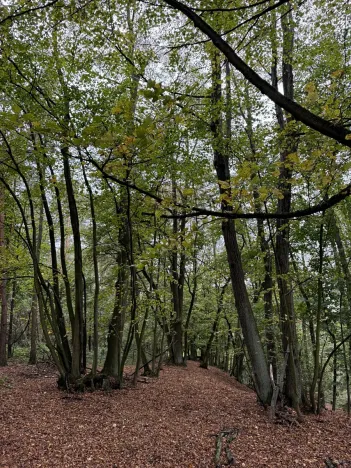 Prodej podílu pozemku, Plaňany, 23569 m2