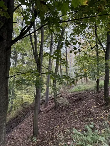 Prodej podílu pozemku, Plaňany, 23569 m2