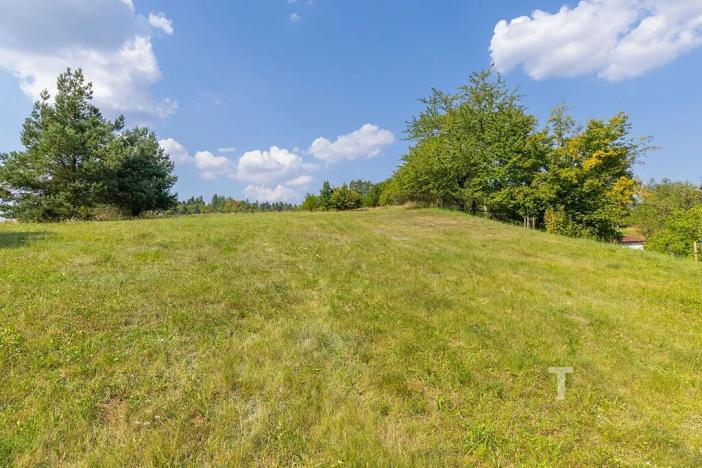 Prodej pozemku pro bydlení, Letovice, 2868 m2