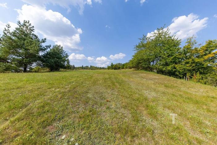 Prodej pozemku pro bydlení, Letovice, 2868 m2